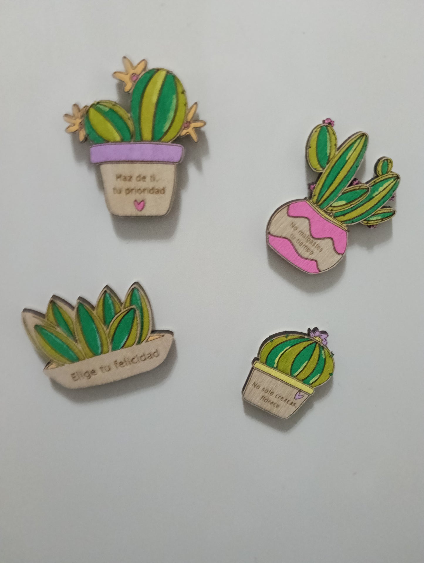 Mini cactus con mensaje