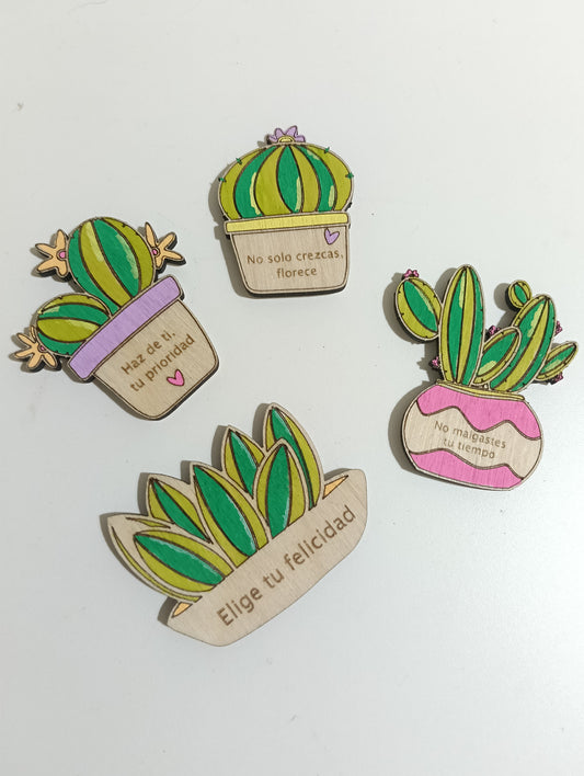 Mini cactus con mensaje